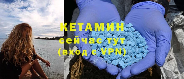 шишки Козловка