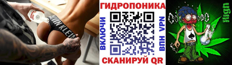 где можно купить наркотик  OMG маркетплейс  Конопля планчик  Кинешма 